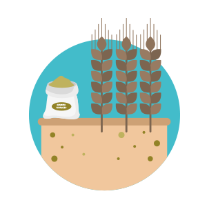 Sealac | Plant nutrition